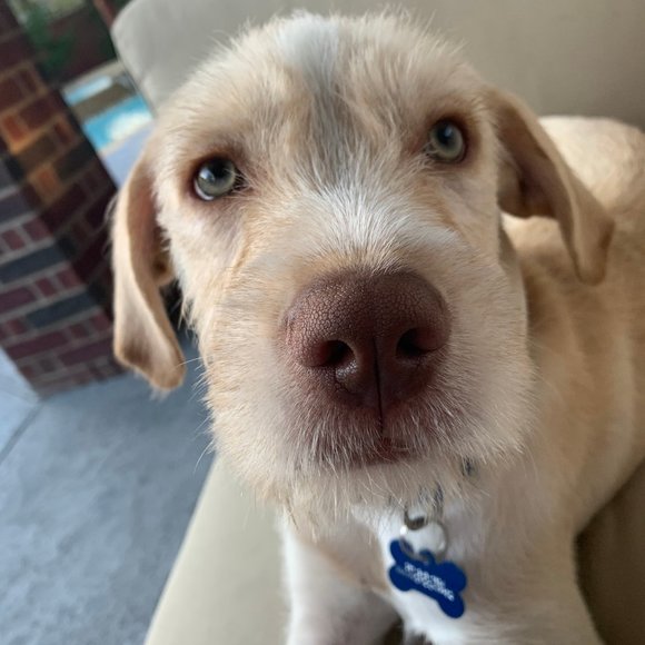 Meet your Posher, Kristi - Picture 9 of 13